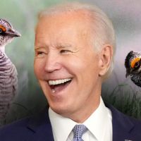 Prairie chicken is Biden’s new weapon, what your kids want before you die and more Fox News Opinion