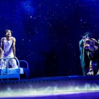 Meet the woman behind the eyes of the tiger in Broadway’s ‘Life of Pi’