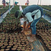 Malaysia’s FGV optimistic U.S. import ban will be lifted this year