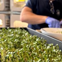 NASA looks to spice up astronaut menu with deep space food production