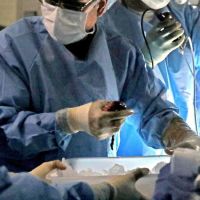 Dozens of Americans die daily waiting for an organ transplant. Why do we let this happen?