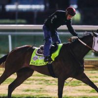 Ahead of Kentucky Derby, 4 horses died at Churchill Downs. Make horse welfare a priority.