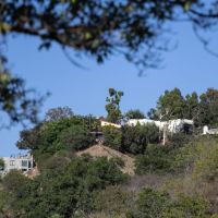 Editorial: Wildlife habitat or a luxury resort on an L.A. hillside? It shouldn’t even be a question