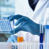 Team Biden Looks for an Excuse to Impose Price Controls