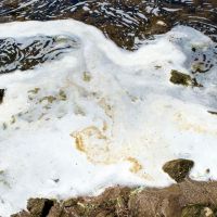 State Bans on Products With ‘Forever Chemicals’ Increase