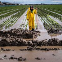 Climate change is not a left-wing plot