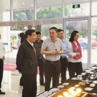 Political adviser: Advocating high-quality growth of manufacturing