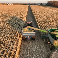 Mexico Threatens a Trade War