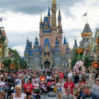 WSJ News Exclusive | Disney Board Seat, Operational Improvements Sought by Trian