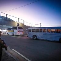 The dark side to Bukele’s mass imprisonments