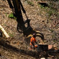 ‘Equal Occupational Fatality Day’