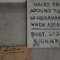 My neighbor found Lincoln’s hair in his basement. I found a mystery.