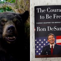 ‘Cocaine Bear’ and ‘The Courage to Be Free’ by Ron DeSantis: A review