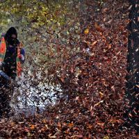 Montgomery County should ban gas-powered leaf blowers