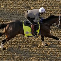 Editorial: How many more racehorses must die before the sport changes or goes away?