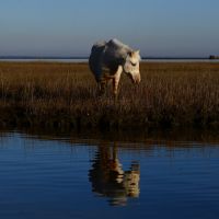 We need to talk about development of coastal land