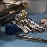 Break up the human organ monopoly