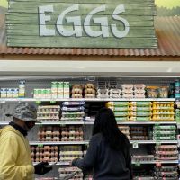 How much for a dozen? Why the cost of eggs is dropping after a major price hike
