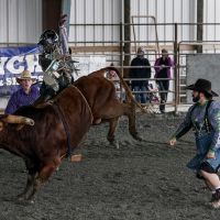 Readers critique The Post: Stop glorifying animal cruelty