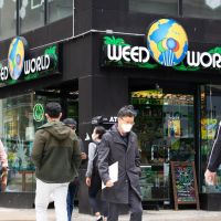 Illegal weed is killing licensed California bud shops — NY may be…