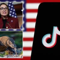Forget national-security concerns: Ban TikTok for its appalling…