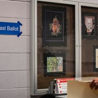 Election security a success, but more improvements needed, experts say