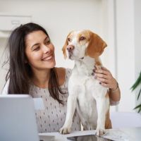 Pets are our companions at home. More employers are welcoming them at work, too.