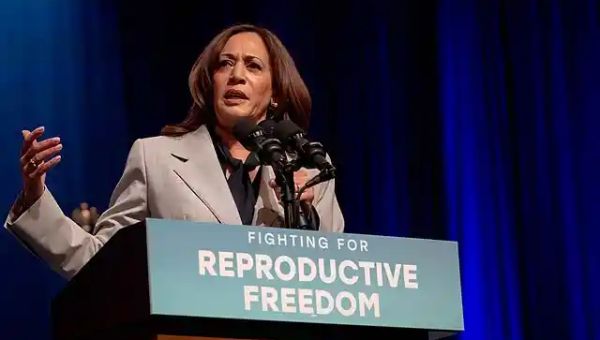 James P. Hoffa Blasts Teamsters Union Head For Not Backing Kamala Harris – HillReporter |