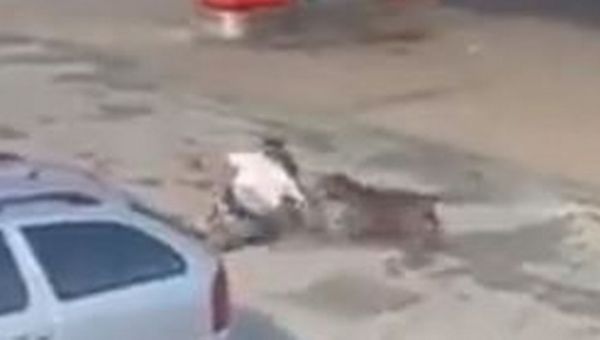 Schoolgirl, 11, savaged by XL Bully now afraid to leave home