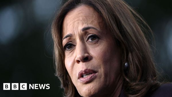 US election 2024: Harris tells supporters ‘never give up’ and urges peaceful transfer of power