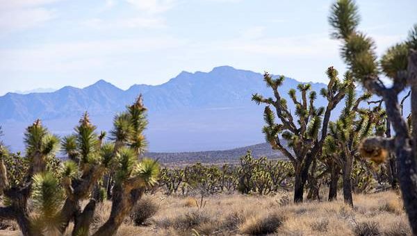 As tribes celebrate Nevada’s newest national monument, governor pans ‘confiscation’