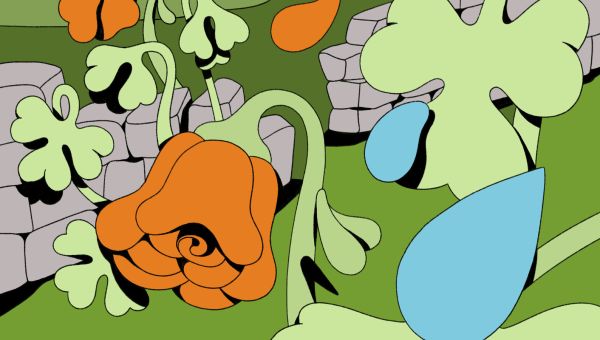 Northern Ireland Is Far Too Quiet