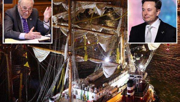 Schumer bizarrely claims DOGE may have been partly to blame for...