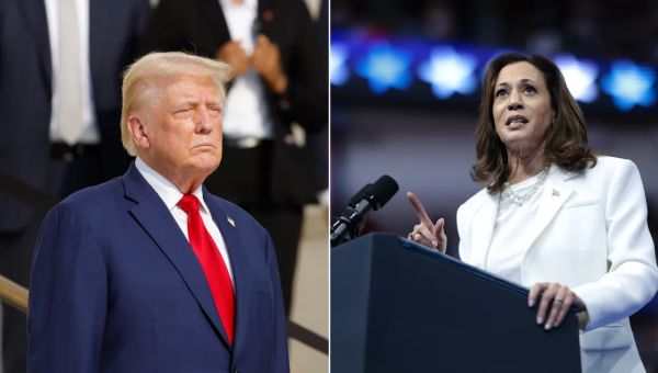 Trump allies offer debate strategies to beat Harris: ‘Already knocked one Democrat out’