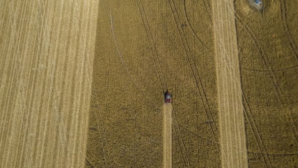 The World Is Scrambling to Keep Ukraine’s Grain Flowing