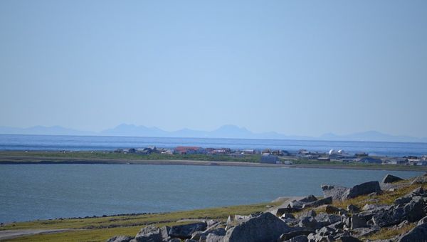 ‘Surprise’ Visitors Just Showed Up in a Boat on This Alaskan Island