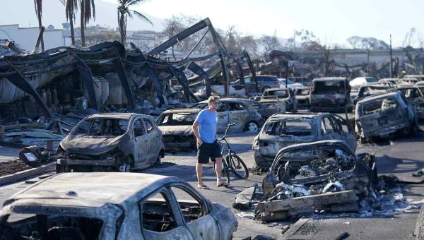 Maui emergency services chief resigns