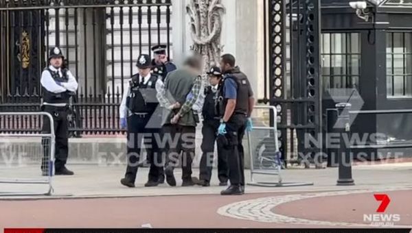 ‘Knifeman with bullets’ captured shouting ‘I’ll kill King’ at Buckingham Palace