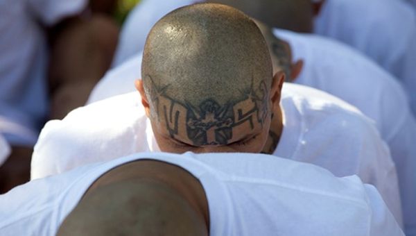 DHS Invites You to 'Meet' the Detainees That NJ Democrats Went Ga-Ga Over at ICE Detention Center