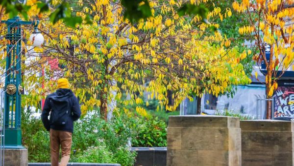 More civil service jobs coming to Bristol in £729m boost | Bristol Live