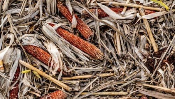 António Guterres Img