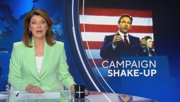 Election Interference: Nets Out for Blood Against ‘Bleeding,’ ‘Struggling’ DeSantis