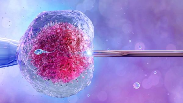 Here's What Trump, Biden, and the Catholic Church Are Saying About IVF