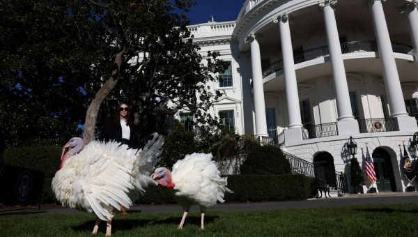 Biden pardons turkeys Peach and Blossom during final Thanksgiving event | amNewYork
