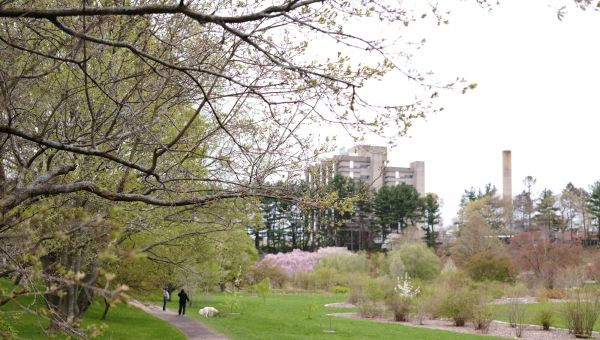 Harvard, Pay Your PILOTs | Opinion | The Harvard Crimson