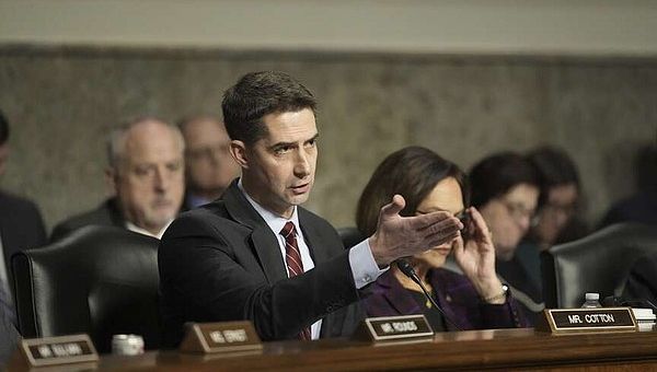 Cotton allows Hegseth to explain stance on women in combat | Northwest Arkansas Democrat-Gazette