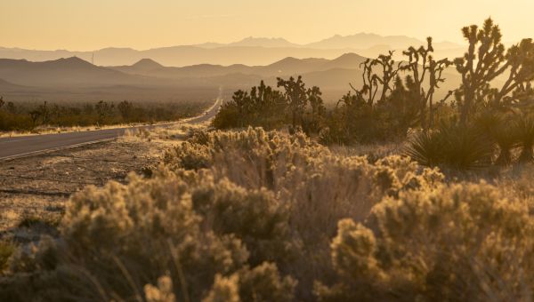 Biden Creates Two National Monuments in the Southwest