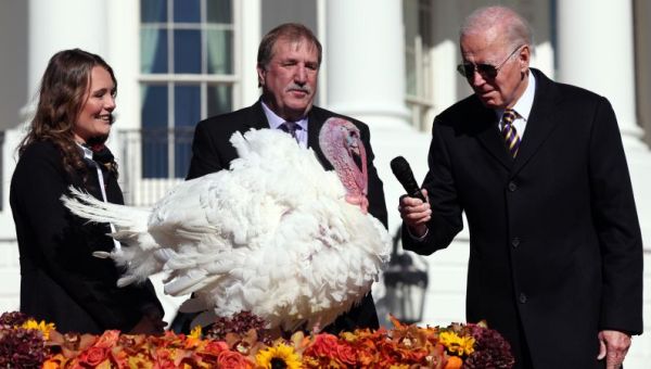 Biden pardons Thanksgiving turkeys: ‘No ballot stuffing, no fowl play’ | CNN Politics
