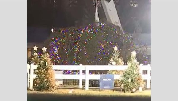 Strong winds topple National Christmas Tree outside White House