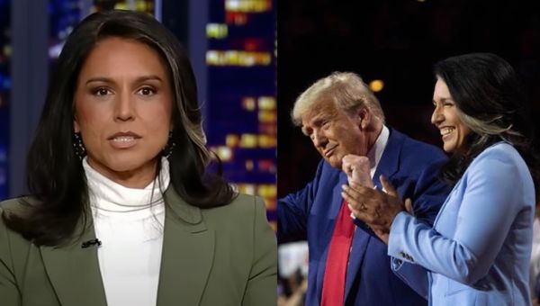 Trump appoints Tulsi Gabbard as director of national intelligence